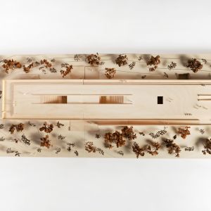 A model photo from a bird's-eye view of a building on a site. Wood.